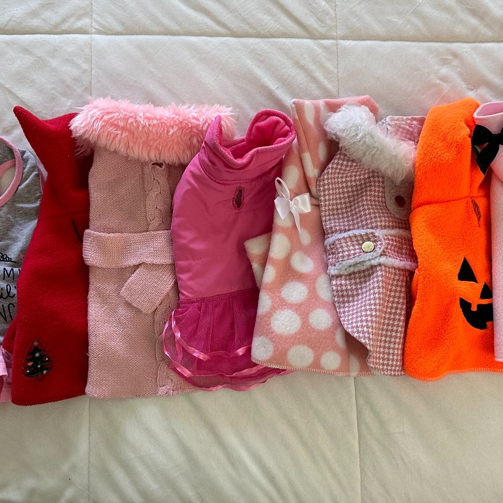 9 Dog Outfits - Small and XS - LISTING FOR LISA
